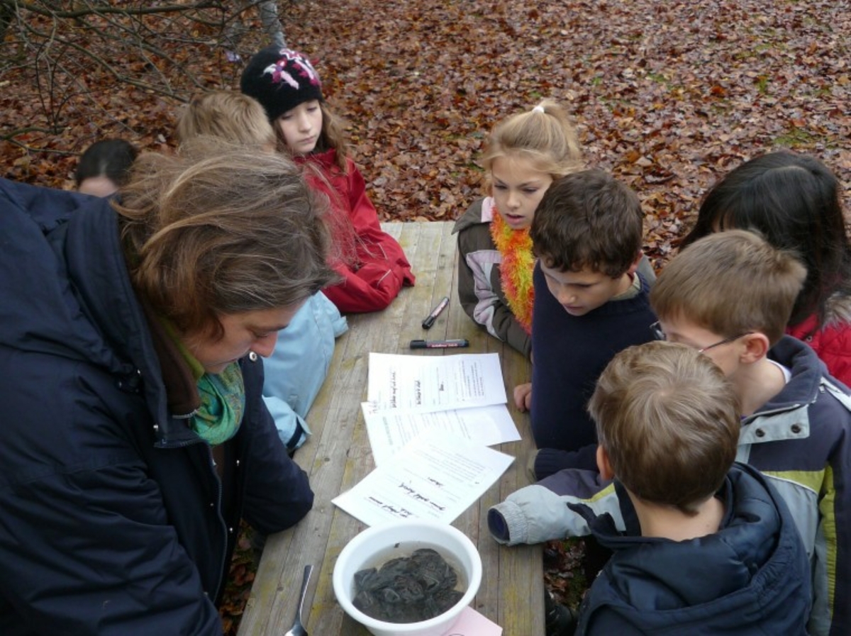 Lernwerkstatt im Wald mit einer Gruppe von Kindern