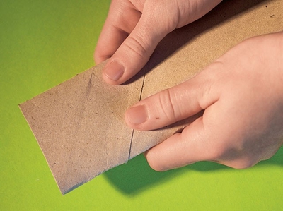 Zwei Hände halten eine Papierrolle vor grünem Hintergrund.
